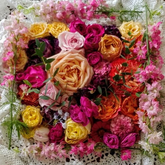 34 new listings last 2 days - Picture 7 of 11